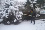 برفتکانی درختان فضاهای سبز شرقتبریز توسط شهرداری منطقه ۵