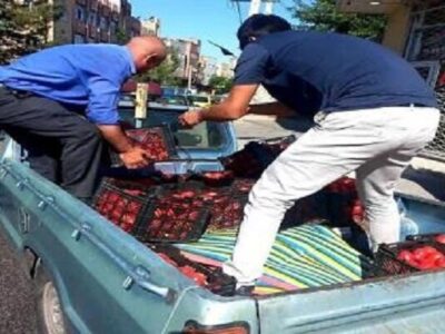جمعآوری ۱۸۵ خودرو سد معبری و طبق میوه فروش از سطح منطقه ۴