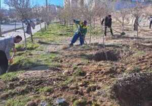 آماده‌سازی ۳۲ بوستان در جنوب‌غرب تبریز در آستانه بهار