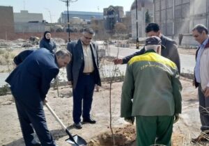کاشت ۳۰ نهال در بوستان روشنایی توسط شهرداری منطقه ۸