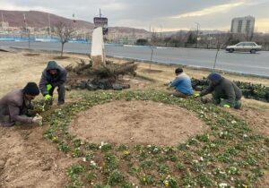 آغاز کاشت انواع گل بهاره در شرق تبریز