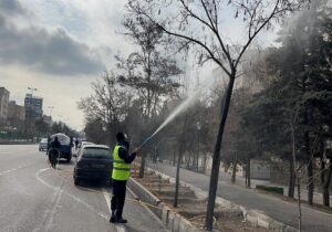 آغاز سمپاشی زمستانه درختان در سطح شهر