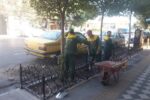 حذف موانع بتنی و کاشت درخت در رفیوژها و فضاهای سبز شهری تبریز