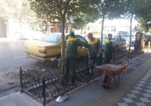 حذف موانع بتنی و کاشت درخت در رفیوژها و فضاهای سبز شهری تبریز