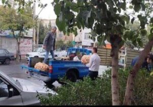 جمع‌آوری ۱۶۴ خودرو و طبق میوه فروش سد معبری ازسطح منطقه ۴