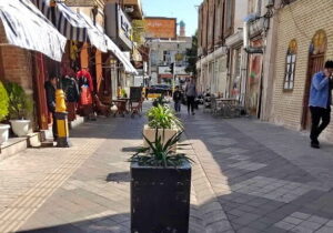 کاشت ۶۰ درختچه یوکا در باکسهای گل پیاده راه پاساژ
