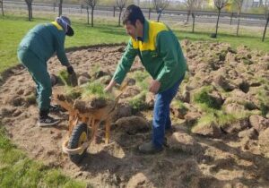 جایگزینی درخت و درختچه در ۳۸.۵ هکتار از فضای سبز تبریز به جای چمن