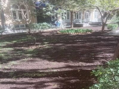اجرای طرح چمنکاری و گلکاری در محوطه مسجد جامع تبریز