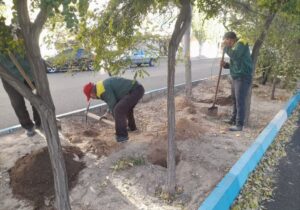 تداوم کند و کوب پای درختان فضاهای سبز سطح حوزه منطقه ۲