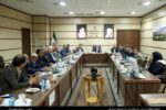 گوشت قرمز تنظیم بازار استان به میزان مورد نیاز تامین شده است