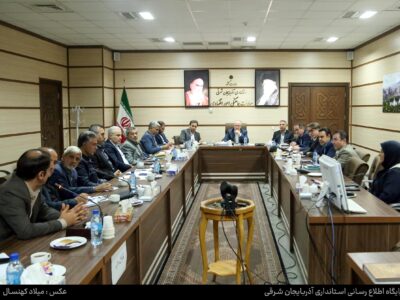 گوشت قرمز تنظیم بازار استان به میزان مورد نیاز تامین شده است