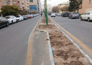 ساماندهی و مدیریت بهینه فضای سبز در شهرک رشدیه تبریز