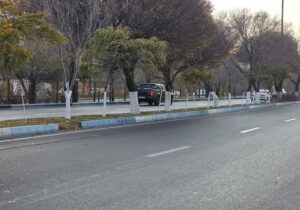 اندود تنه درختان در راستای مبارزه با آفات، بیماریهای قارچی و فیزیولوژیک