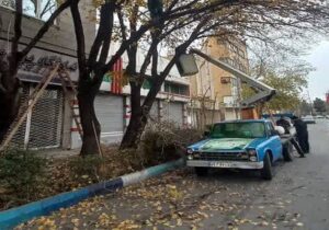 هرس و جوان‌سازی درختان سطح حوزه شهرداری منطقه ۱۰ تبریز