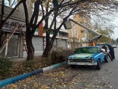 هرس و جوان‌سازی درختان سطح حوزه شهرداری منطقه ۱۰ تبریز