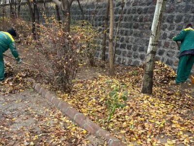 جمع آوری برگهای خزان درختان از معابر شهرداری منطقه ۸