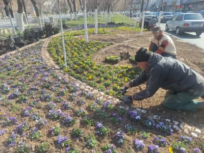 کاشت ۸۵۰ هزار بوتهگل زینتی در حوزه منطقه ۳