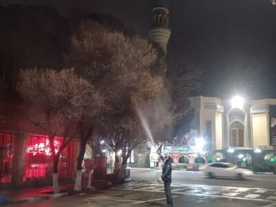 تداوم سمپاشی زمستانه درختان در محدوده مرکزی شهر