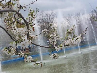 آمادگی پارکها و بوستان های شهرداری منطقه ۸ برای میزبانی از شهروندان در روز طبیعت