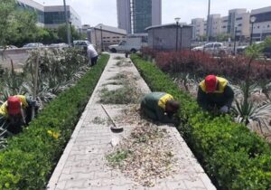 آغاز اجرای فاز جدید ساماندهی فضای سبز محدوده مرکزی تبریز