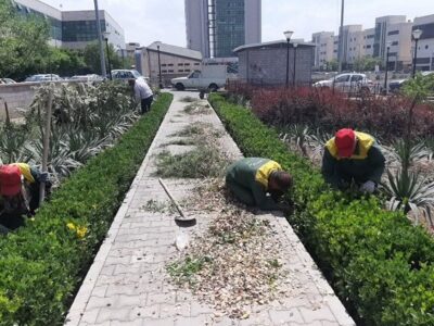 آغاز اجرای فاز جدید ساماندهی فضای سبز محدوده مرکزی تبریز