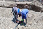 رفع خسارتهای وارده به شبکه و خطوط انتقال آب روستاهای مجتمع چولقشلاقی
