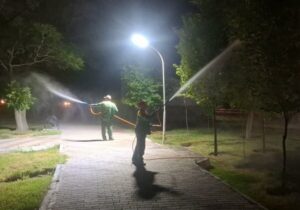 آغاز عملیات سم‌پاشی درختان در سطح منطقه۷