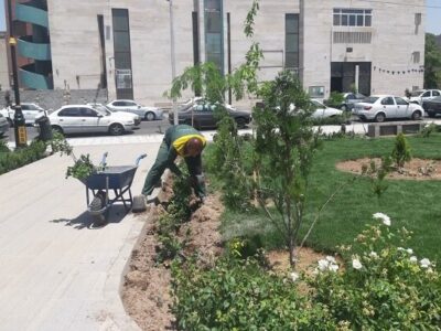 توسعه فضای سبز بوستان روشنایی با کاشت انواع درخت و درختچه