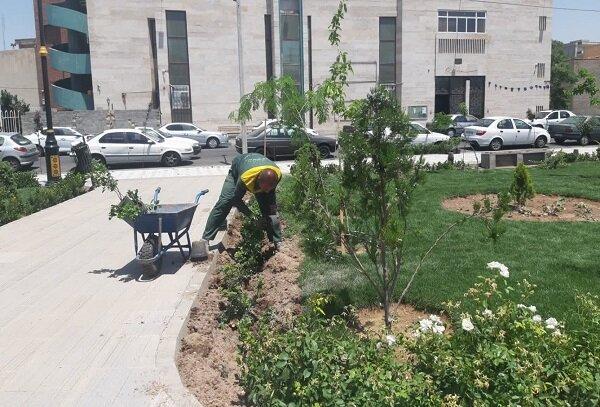 توسعه فضای سبز بوستان روشنایی با کاشت انواع درخت و درختچه توسعه فضای سبز بوستان روشنایی با کاشت انواع درخت و درختچه