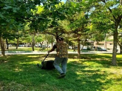 سرزنی چمن و هرس شاخه‌های خشک در دستور کار شهرداری منطقه ۴ تبریز