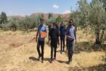 احداث شهربازی پارک جنگلی ارم به‌زودی آغاز می‌شود