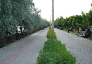 واکاری و کاشت سه هزار اصله درخت و درختچه در سطح حوزه شهرداری منطقه ۲