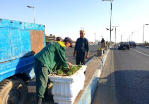 گل‌آرایی بلوار آذربایجان با کاشت یک هزار بوته گل فصلی