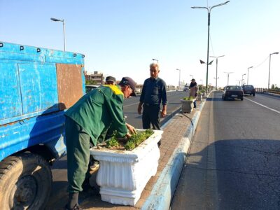 گلآرایی بلوار آذربایجان با کاشت یک هزار بوته گل فصلی