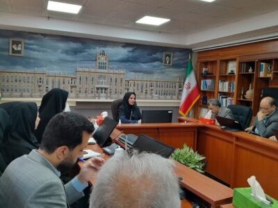 بررسی راهکارهای حل مشکل آنتن‌دهی در بازار تاریخی تبریز