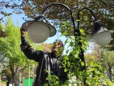تعمیر و نوسازی چراغ‌های روشنایی در معابر شهرداری منطقه ۸