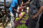 آغاز طرح جمعآوری دستفروشان و طبقچیهای بازار در راسته کوچه