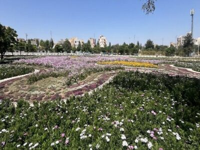 شکوفائی چشمنواز باغ گل مجموعه تاریخی و تفریحی ائل گلی