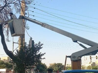 اجرای طرح ضربتی هرس و ایمنسازی درختان در سطح منطقه ۱۰ تبریز