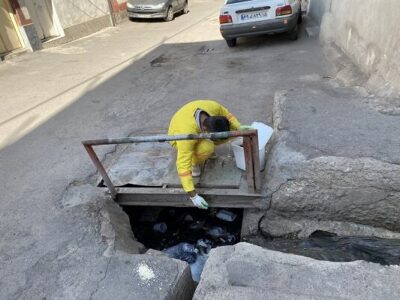 طعمه‌گذاری ۵۴ مسیر به وسعت ۵۱ هزار مترمربع در حوزه شهرداری منطقه ۴ تبریز