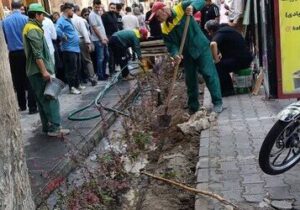 کاشت سه هزار ارقام ردیفی زرشک زینتی و ۵۰ عدد درخت توت کاکوزا و نارون در خیابان جمهوری اسلامی