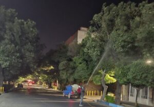 سمپاشی تابستانی درختان در معابر شهرداری منطقه ۸