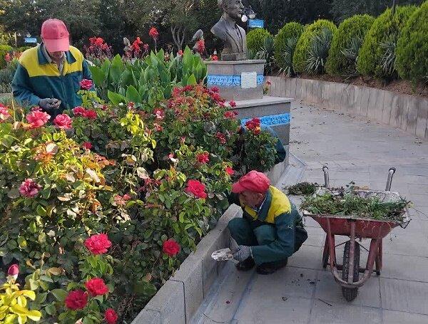 اجرای عملیات وجینکاری گلهای محدوده شهرداری منطقه ۸ تبریز اجرای عملیات وجینکاری گلهای محدوده شهرداری منطقه ۸ تبریز
