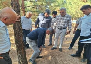 ارزیابی فضای سبز منطقه ۱۰ تبریز در پنجمین روز بازدیدهای میدانی