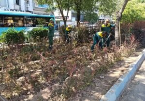 کاشت زرشک و پیراکانتا در رفیوژ میانی بلوار جمهوری اسلامی