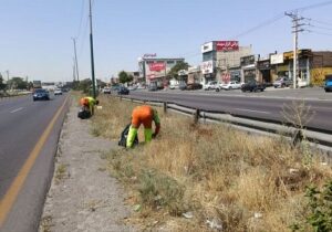 عملیات پاکسازی گسترده درجاده تبریز- آذرشهر توسط شهرداری منطقه ۷ اجرایی شد