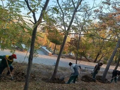 آغاز عملیات چالکود و شخم پای درختان شهر از ابتدای پاییز ۱۴۰۵