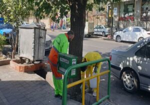آغاز مرحله سوم طرح کنترل جمعیت موش‌های فاضلابی در تبریز