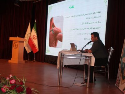 تداوم اجرای طرح «سهشنبههای سلامت بانوان» با محوریت سلامت جسم و پیشگیری