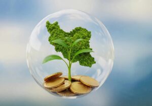 طرح نشان‌دار کردن مالیات؛ پیوند شفافیت با مشارکت مردمی برای توسعه‌ای پایدار